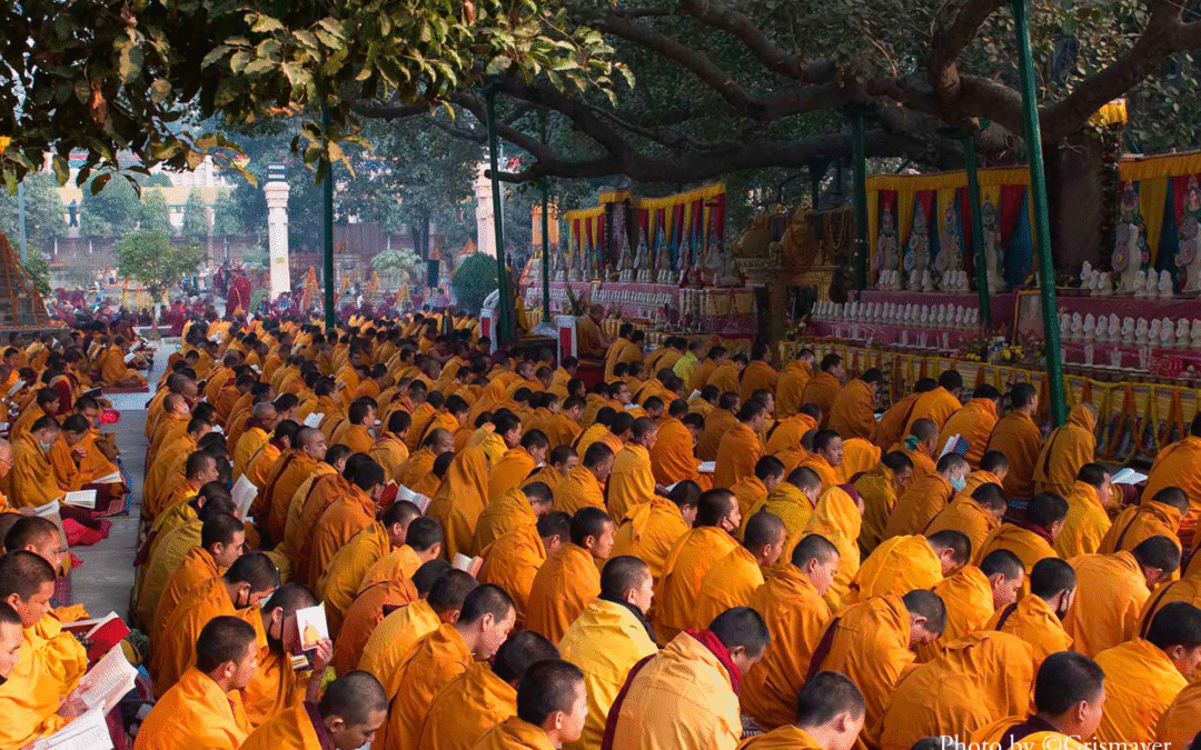 Buddhism: Expectation and Reality