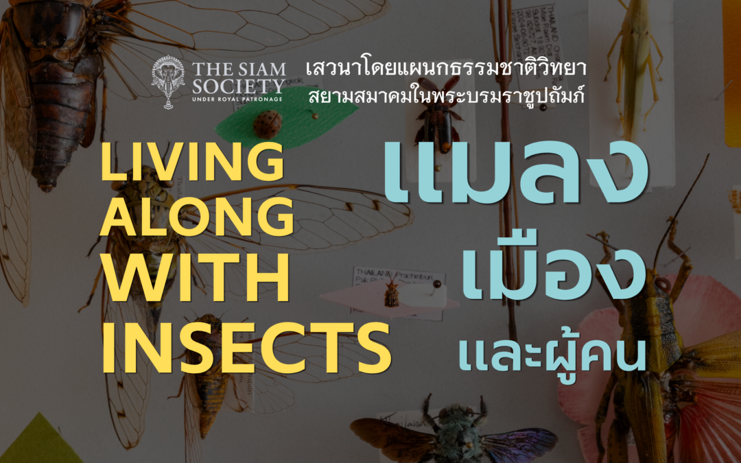 เสวนาโดยแผนกธรรมชาติวิทยา Living along with Insects: แมลง เมือง และผู้คน