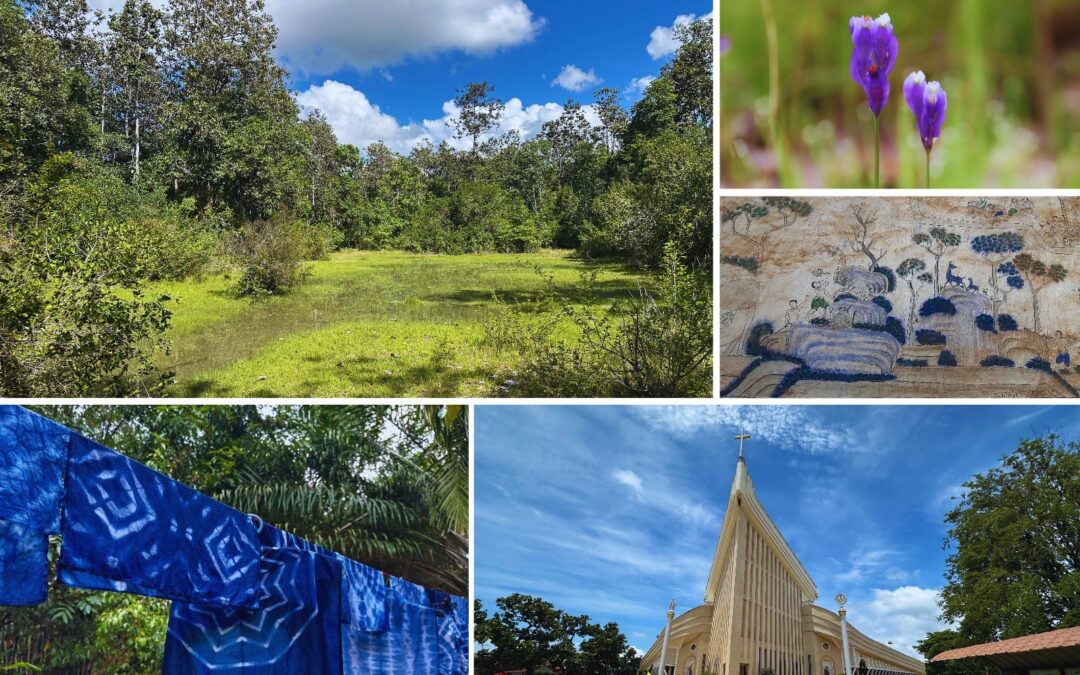 Landscape Botany of the Sakon Nakhon Basin:  A Journey through a Sandstone Landscape of Unexpected Richness